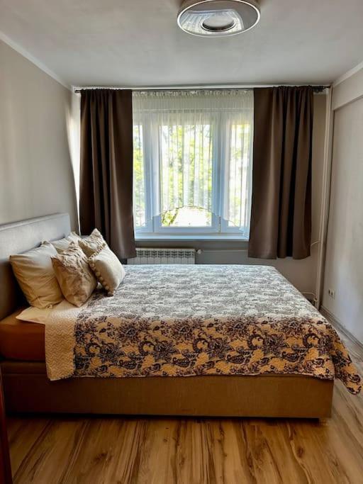 Apartment-kazimierz With Fast Wifi & Parking Space Apartment